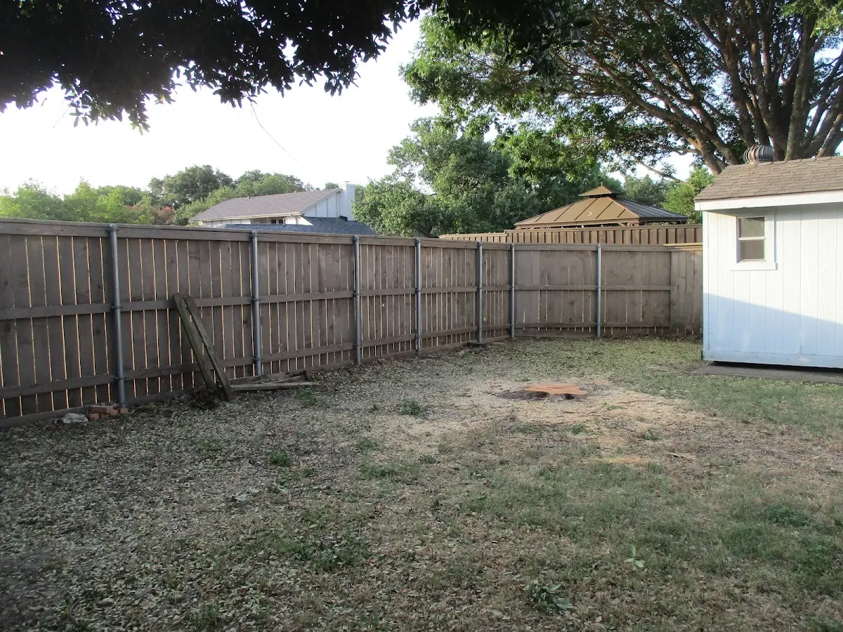 Cleared yard after professional tree removal in Baldwin City